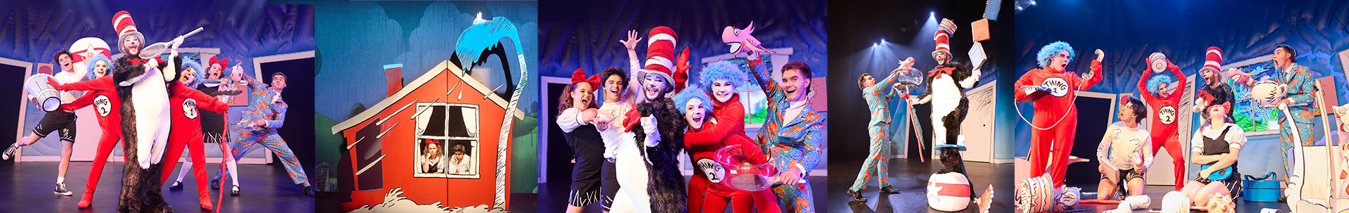 The Cat In The Hat Live On Stage!